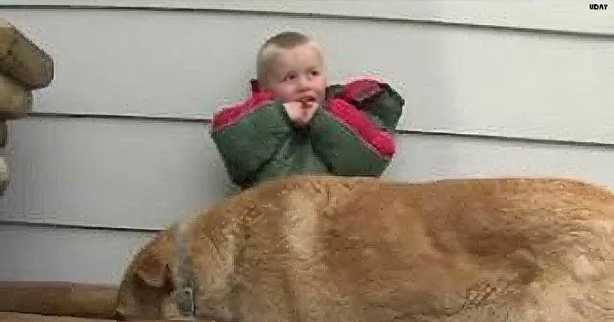 A Three Year Old Boy From His Family''s Property! You Won''t Believe the Unlikely Savior!