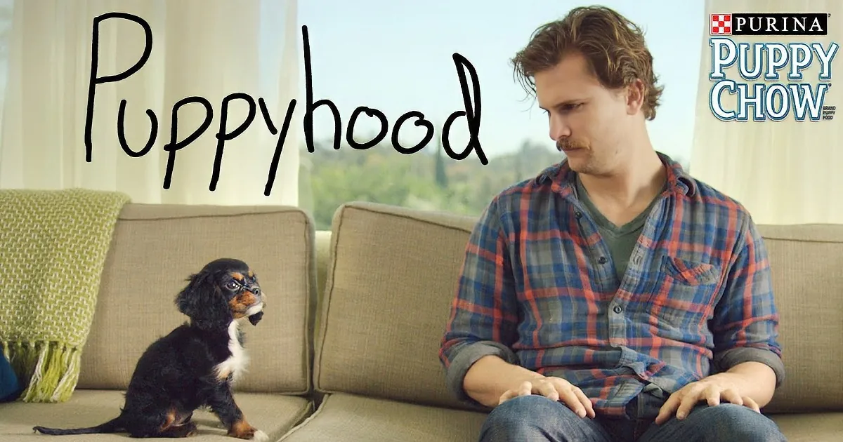 A man in a plaid shirt sits on a couch, looking at a small black and white puppy.