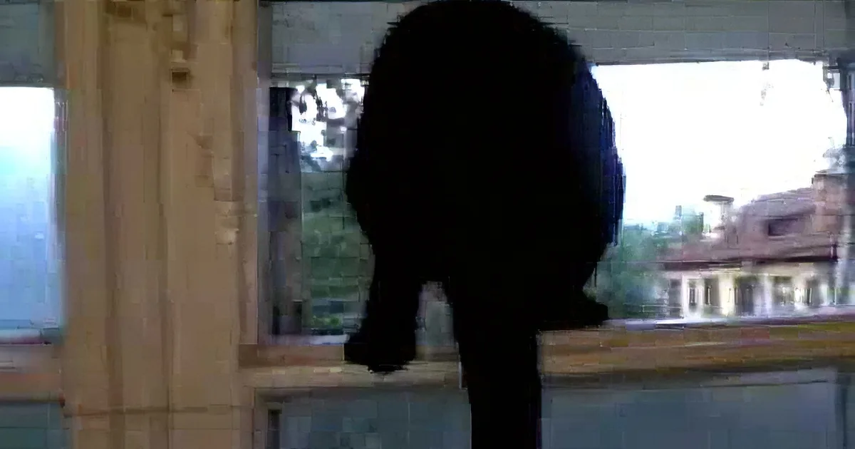 Cat Was Caught Doing a Strange Sound, but What He Does When He Gets Caught? Wow!