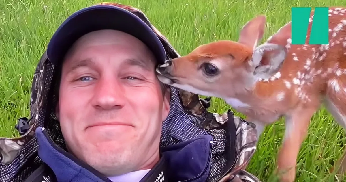 Abandoned Fawn With a Birth Defect Was Saved and Returned to His Family by This Kind Man