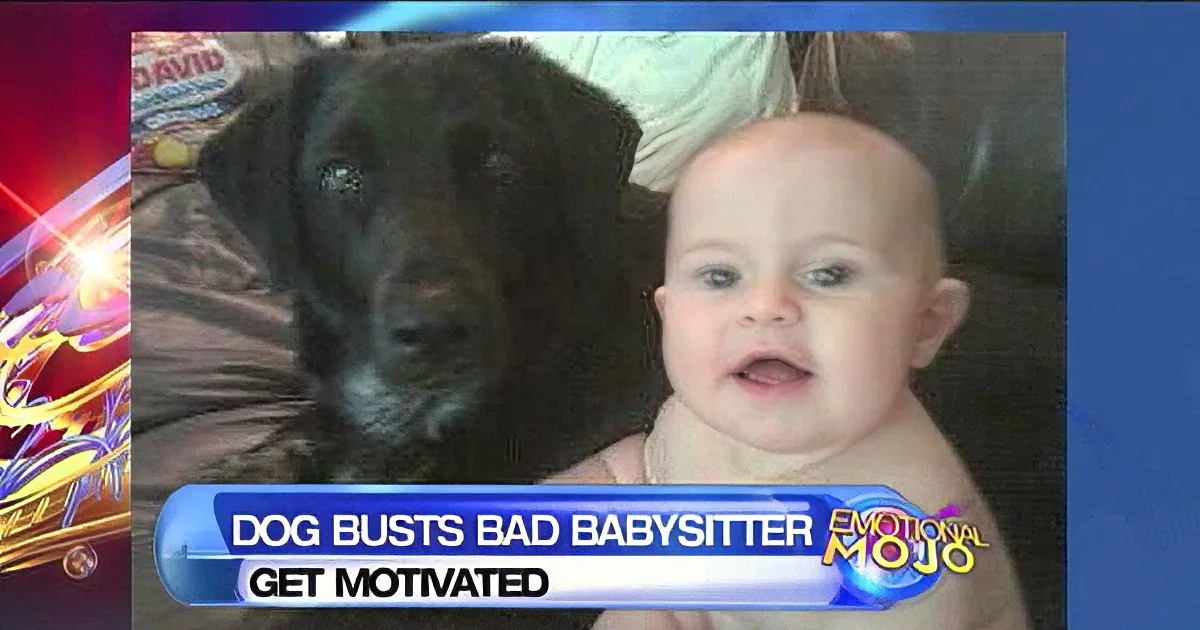 This Babysitter Got out of Control, Thank God the Dog Was There to Save Him!