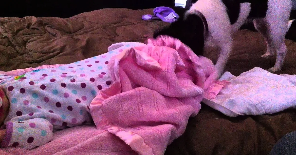 These Adorable Baby Is Taking a Nap! You Won''t Believe How Her Friend Takes Care of Her!