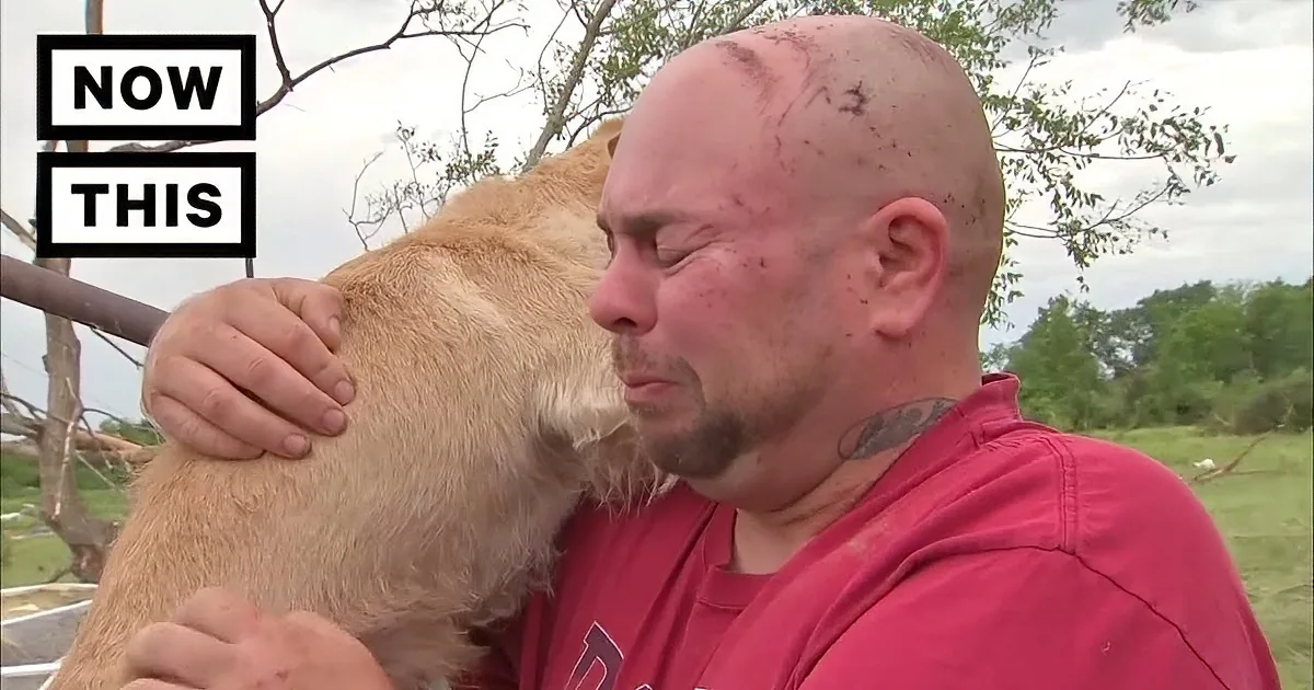 When a Tornado Hit Their Town, They Thought They Wouldn''t Find Their Dog Again. OMG!