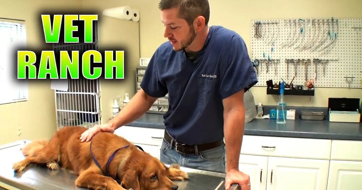 This Dog Was on Death Row Because of a Tumor, but in Came This Ranch!