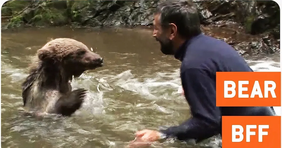 A man and a bear face each other in shallow water, surrounded by forest.