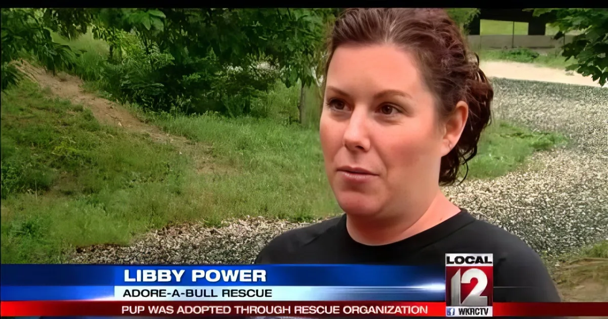 Libby Power from Adore-a-Bull Rescue discusses a pup adoption on a news broadcast.
