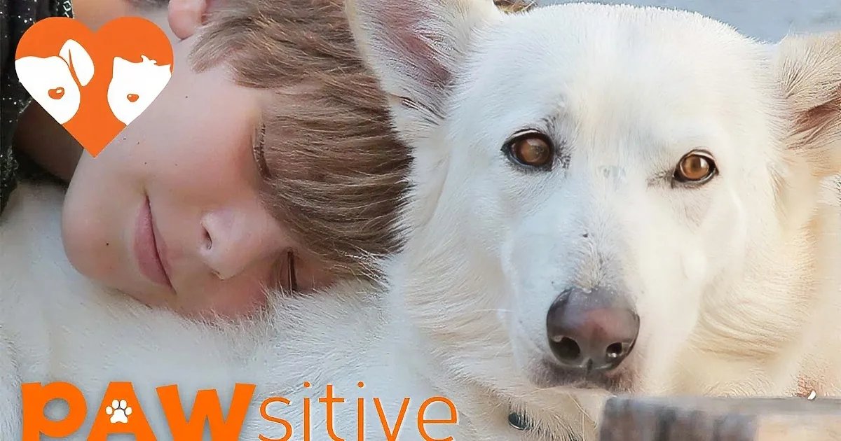 Savior Nurses Sick Dog Back to Health, Then Discovers a Secret She Was Hiding All Along...