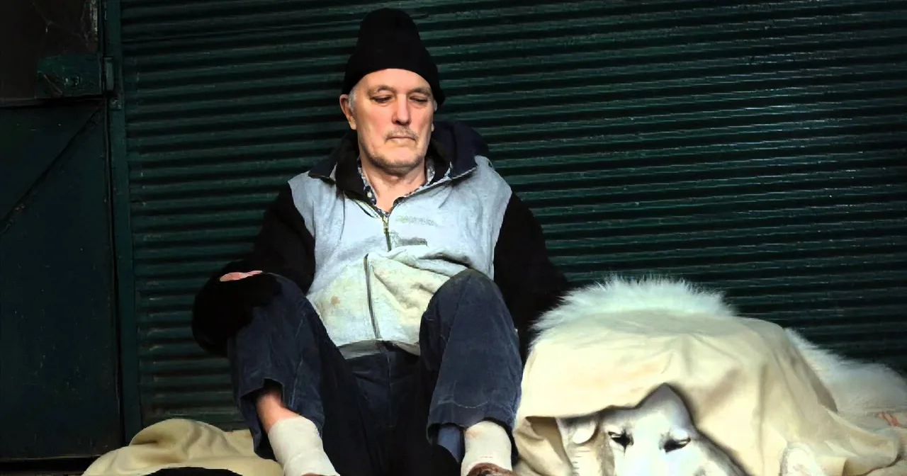 He Sleeps Every Day on the Streets. Now Watch What This Kind Dog Does.