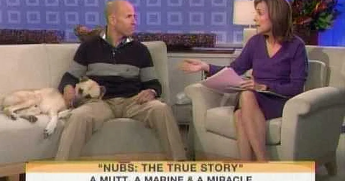 Marine Says Goodbye to a Stray Dog. He Was in for a Surprise 2 Days Later!