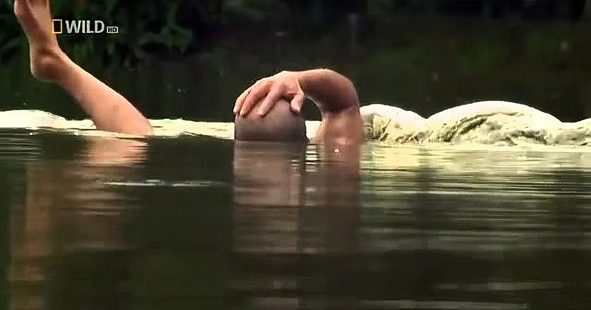 A person is swimming in a body of water, with their head submerged and one arm extended above the surface.