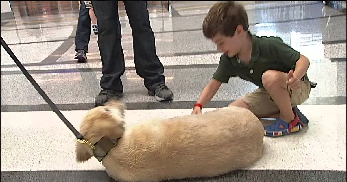 Soldier Has to Go Home and Leave His Dog Behind. 2 Years on, He Finds out What Happened to Her.