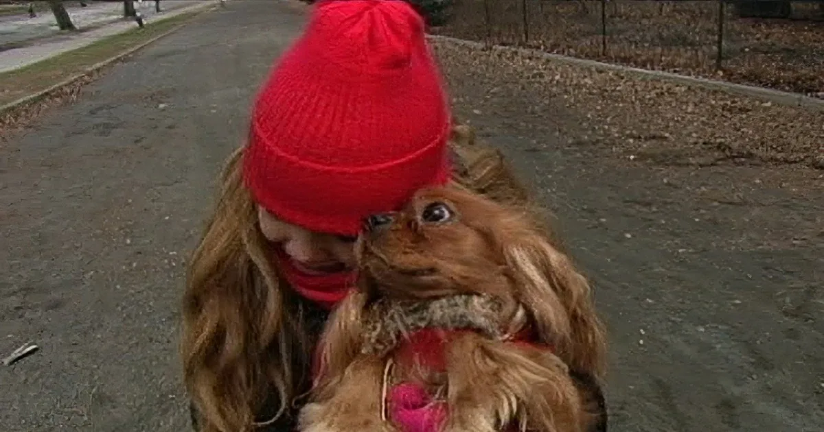 This Little Girl Had Her Dog Stolen From Her. Watch Her Reaction When This Good Samaritan Shows Up...