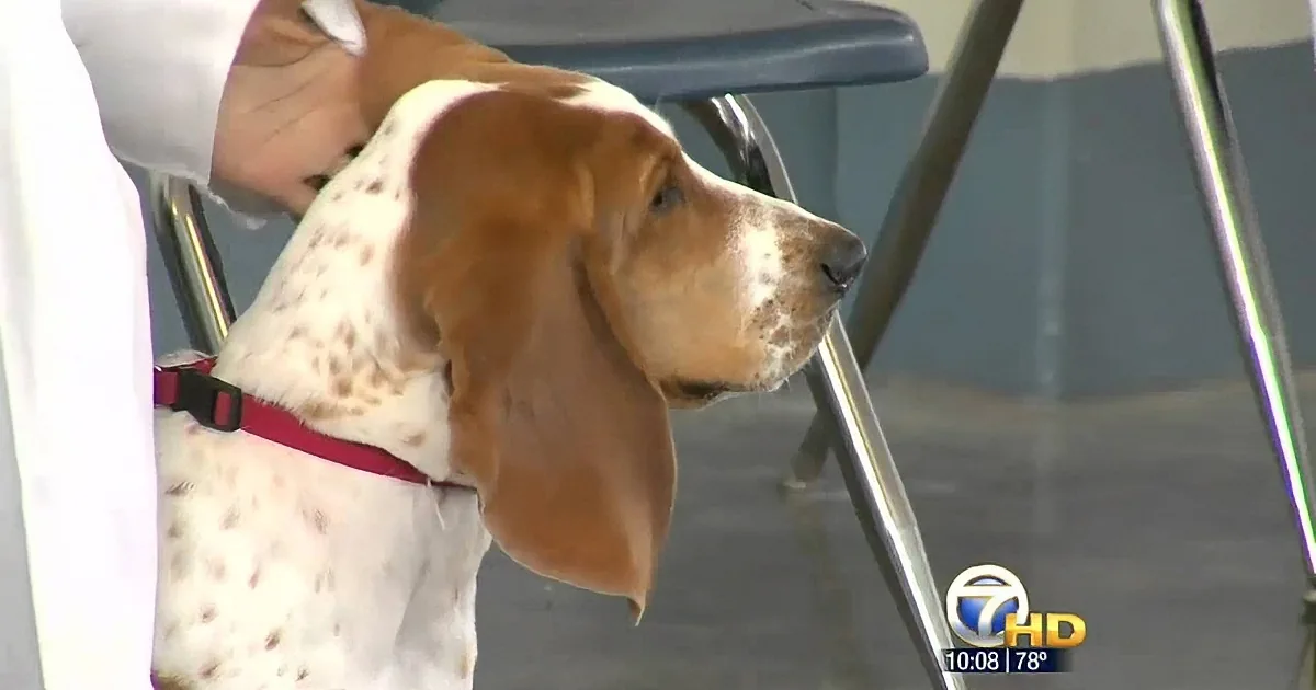 They Give This Murderer a Dog to Look After in Prison. Now Watch What He Does...