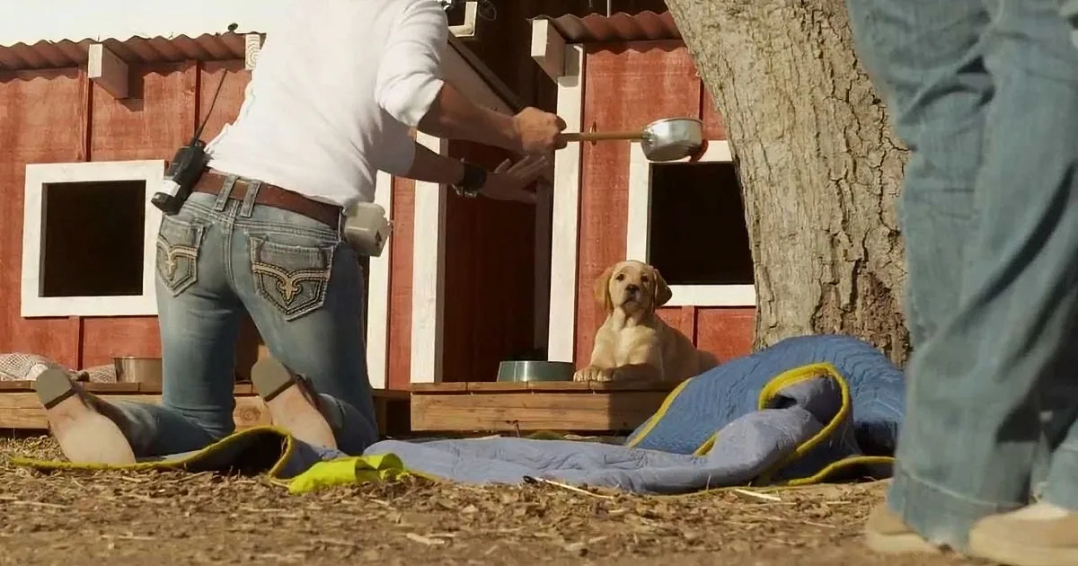 A person in jeans and a white shirt holds a stick near a dog in a bowl, with a tree and red building in the background.