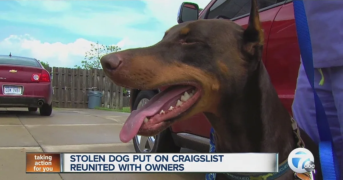 When This Woman Put up Signs to Find Her Lost Dog... Her Neighbors Were Able to Help Find Him!