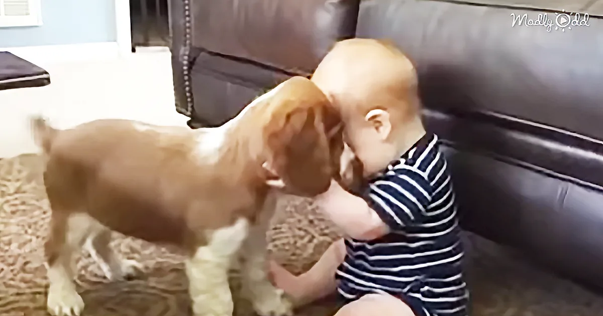 A baby in a striped shirt is playfully interacting with a large, light-colored dog on a carpeted floor.