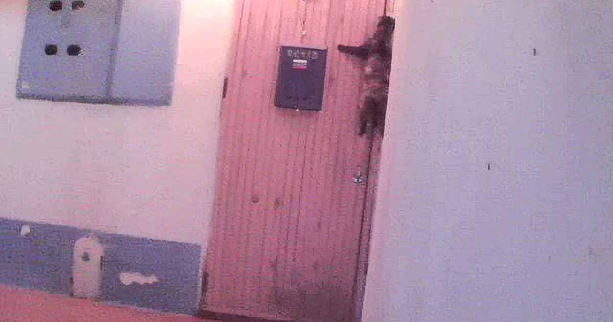 A person is partially visible through a wooden door, with a wall-mounted device and electrical outlets nearby.