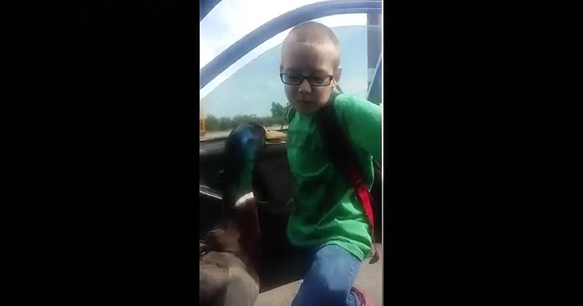A child in a green shirt and glasses sits in a car, looking out the window.