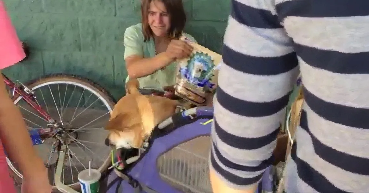 A person is painting a skateboard while a dog sits nearby, with a bicycle and a drink in the background.