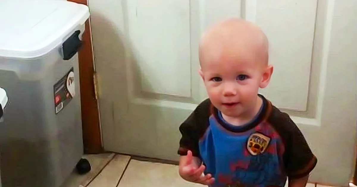 Toddler Has Unusual Way of Feeding His Canine Buddies