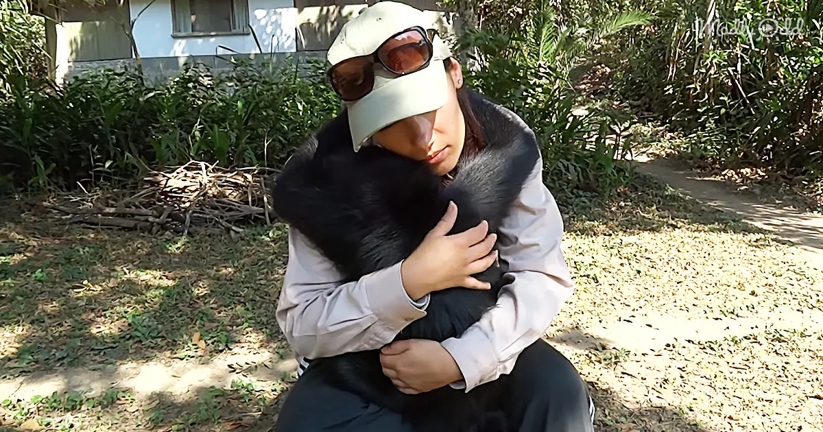 A person wearing a cap and sunglasses holds a black animal, possibly a dog, in a grassy area with sunlight and shadows.