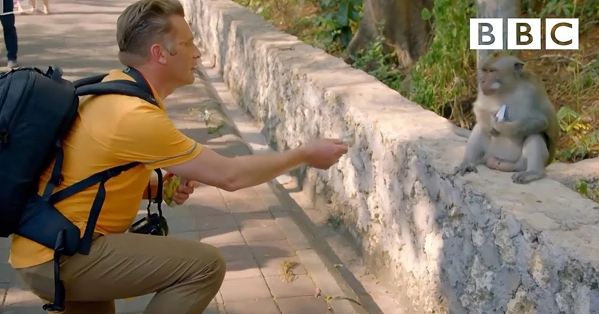 A monkey sits on a stone structure, holding a phone and looking at it.