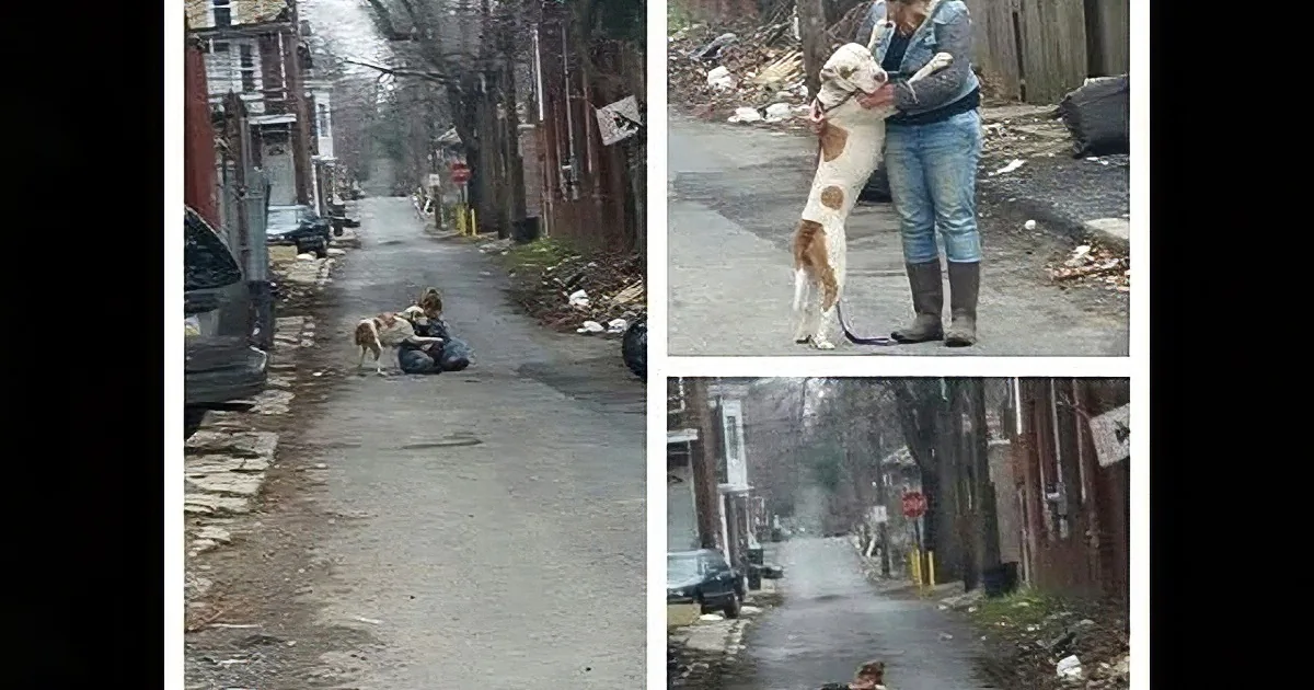 A person is holding a dog in a narrow alleyway, surrounded by debris and trash.
