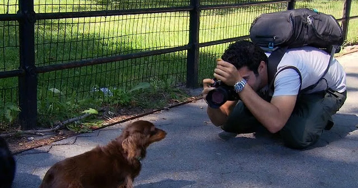 She Sees a Big White Dog on the Side of the Road. Then She Finds out the Incredible Truth...