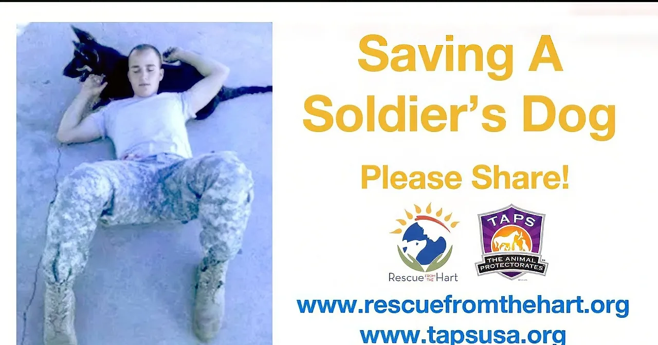 A man lies on the ground with a dog, promoting saving a soldier's dog and sharing.