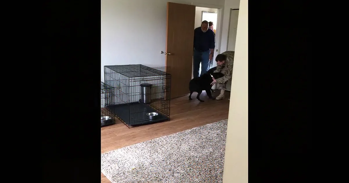 Eager Dog Starts Flapping His Tail Uncontrollably. Now Watch Who Walks Through the Door...