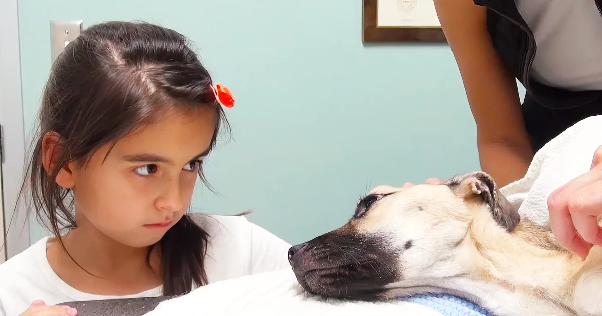 She Looks Into the Eyes of a Dying Dog. Moments Later? a Miracle...