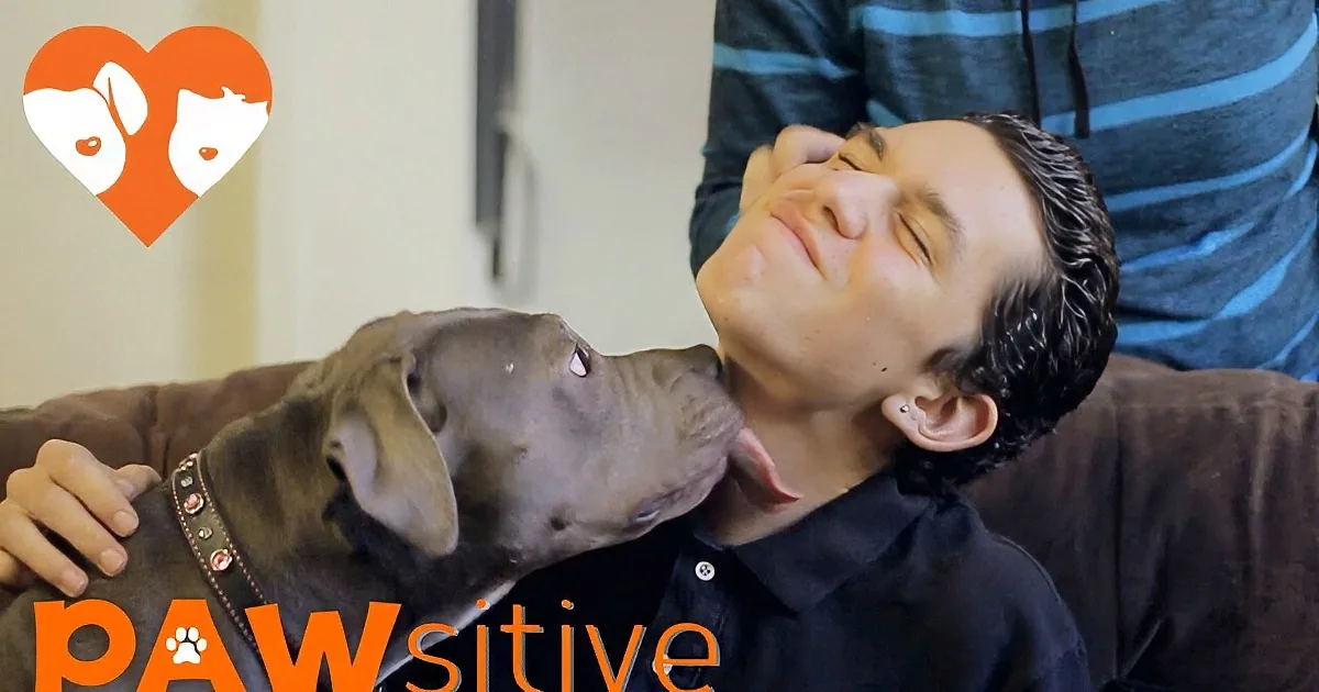 A man is being playfully kissed on the cheek by a large, dark-colored dog.