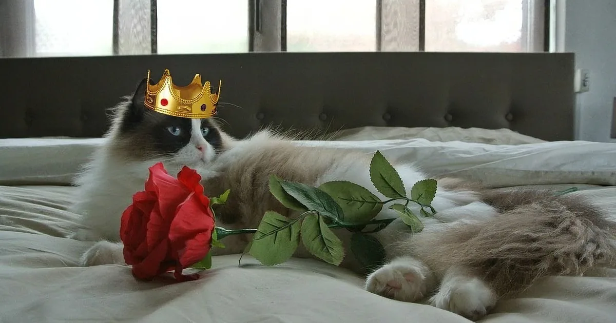 A cat wearing a golden crown lies on a bed with red roses, looking regal.