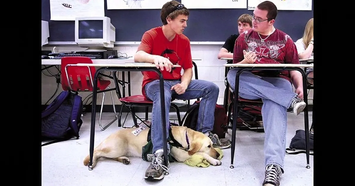 A dog lies under a desk in a classroom, with students sitting at desks above it.