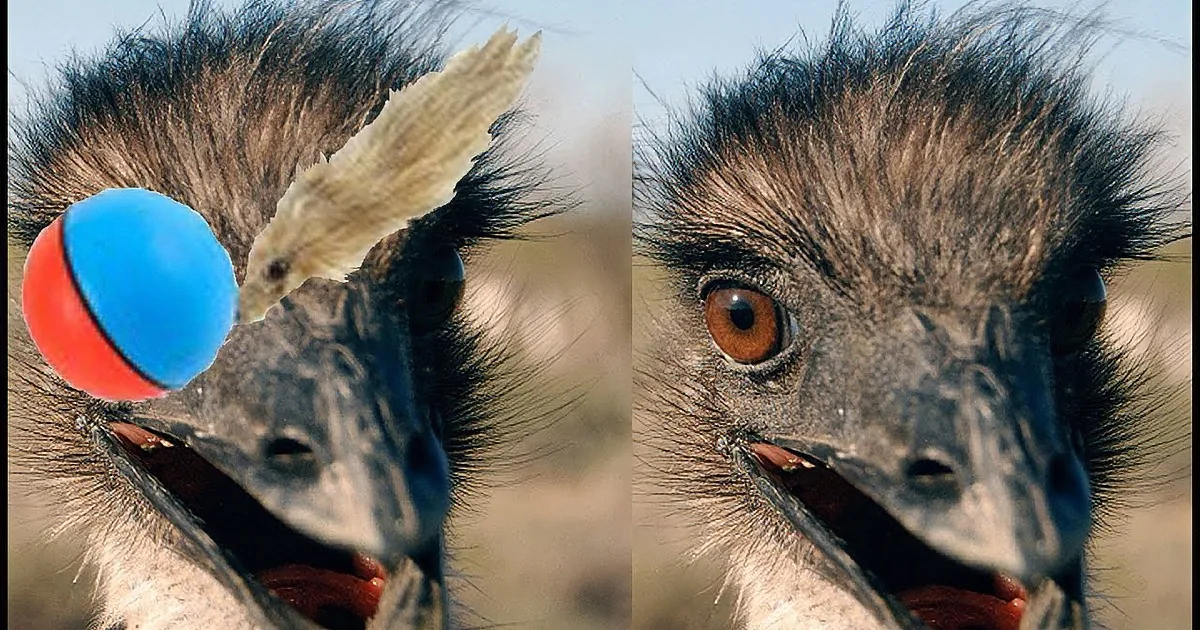 She Gives Her 2 Birds Something They''ve Never Seen Before. but Watch Their Hilarious Reaction!