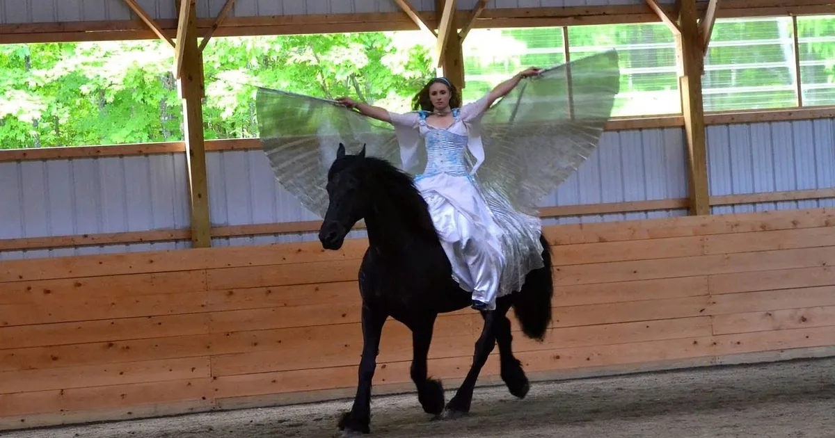A woman in a fairy costume rides a black horse with large, translucent wings in an indoor arena.