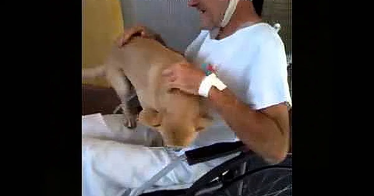 A man in a white shirt pets a light brown dog on a white surface.