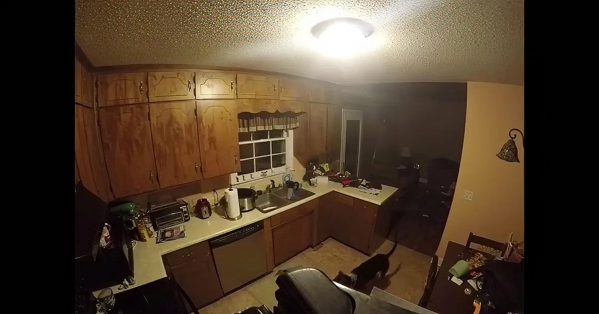 Mom and Dad Leave the House. Moments Later, They See Their Dog Doing This...