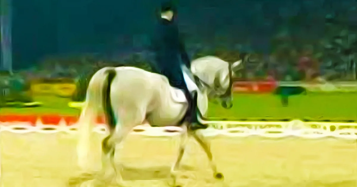 She Looked Like a Regular Horse. but Watch Her Legs When the Music Starts! I''m Stunned!