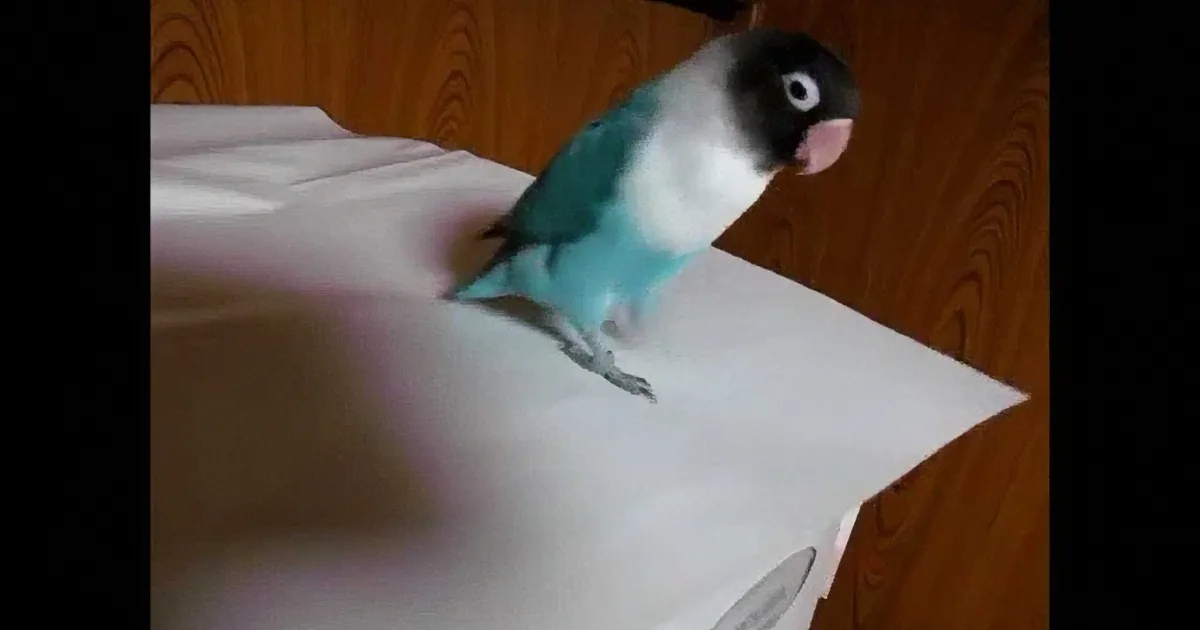 A small bird with a black head, white chest, and blue body perches on a white paper on a wooden surface.