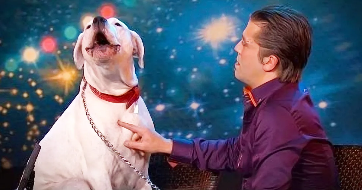 This Dog Sings Whitney Houston''s ''I Will Always Love You'' and Blows the Judges Away!