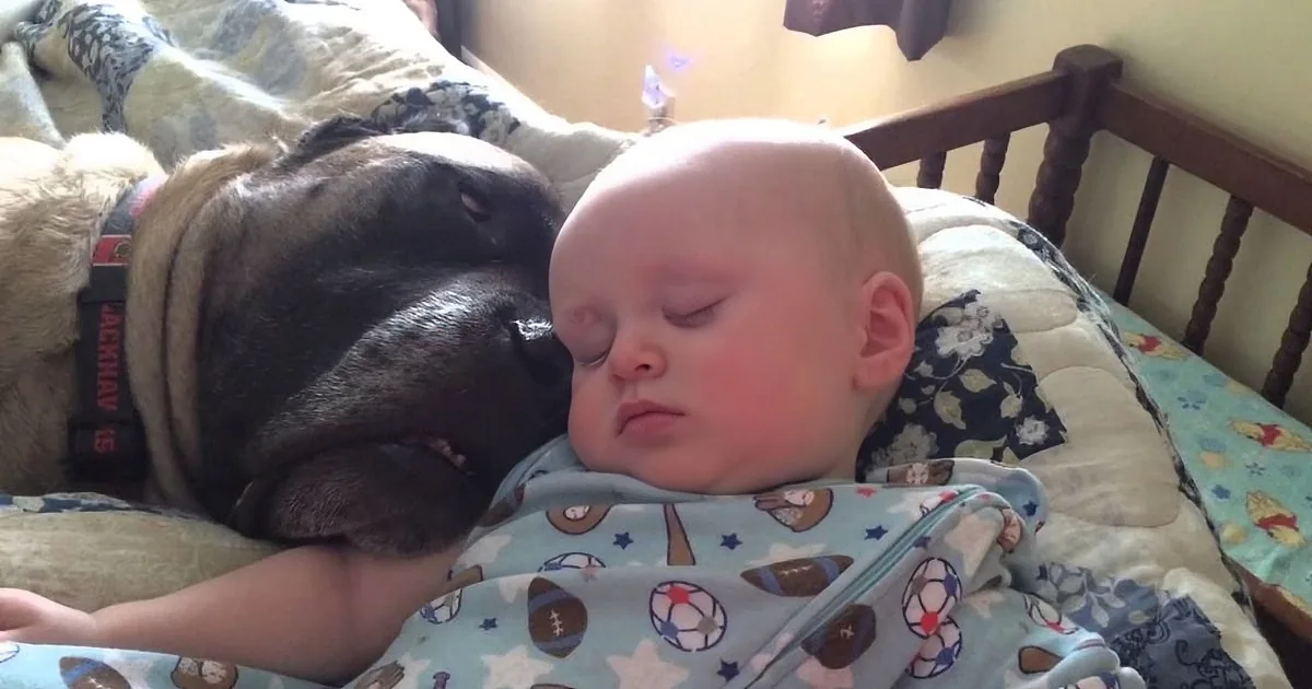 A baby and a dog are sleeping together on a bed, both appearing peaceful and content.