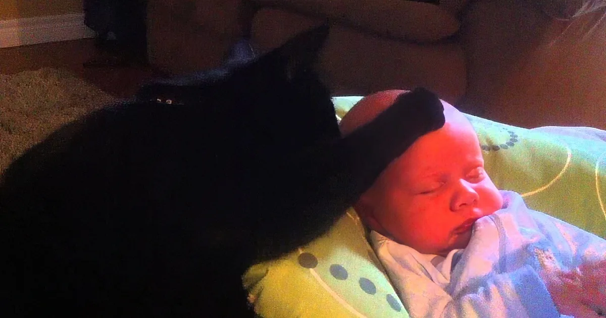 A black cat rests on a green blanket near a sleeping baby in a blue outfit.