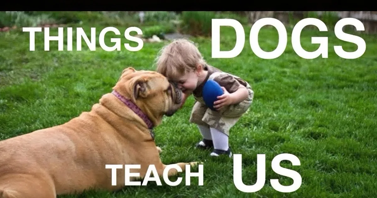 A boy and a dog share a playful moment on grass, with text overlay reading "THINGS DOGS TEACH US."