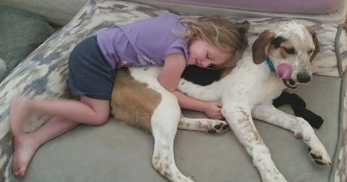 A young child cuddles a large, white and brown dog on a patterned couch.