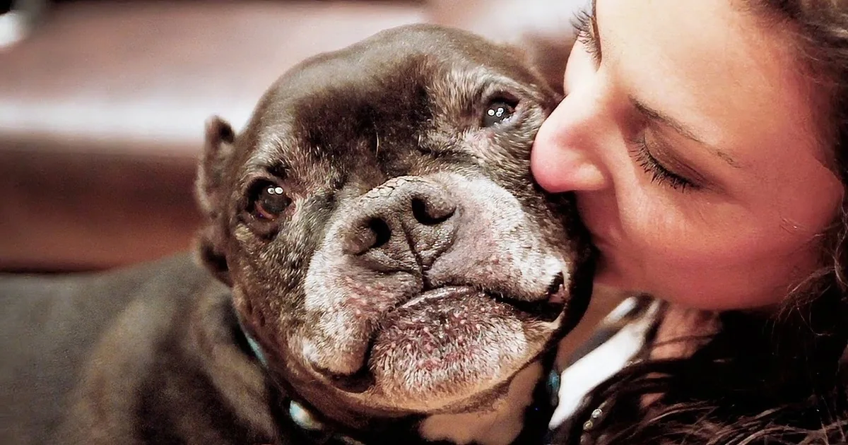 A woman kisses a wrinkled, dark-furred dog with a blue collar.