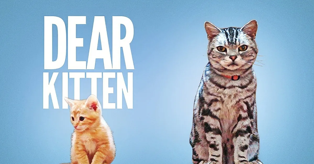 A cat with a kitten in front of it, with text "Dear Kitten" on the left.