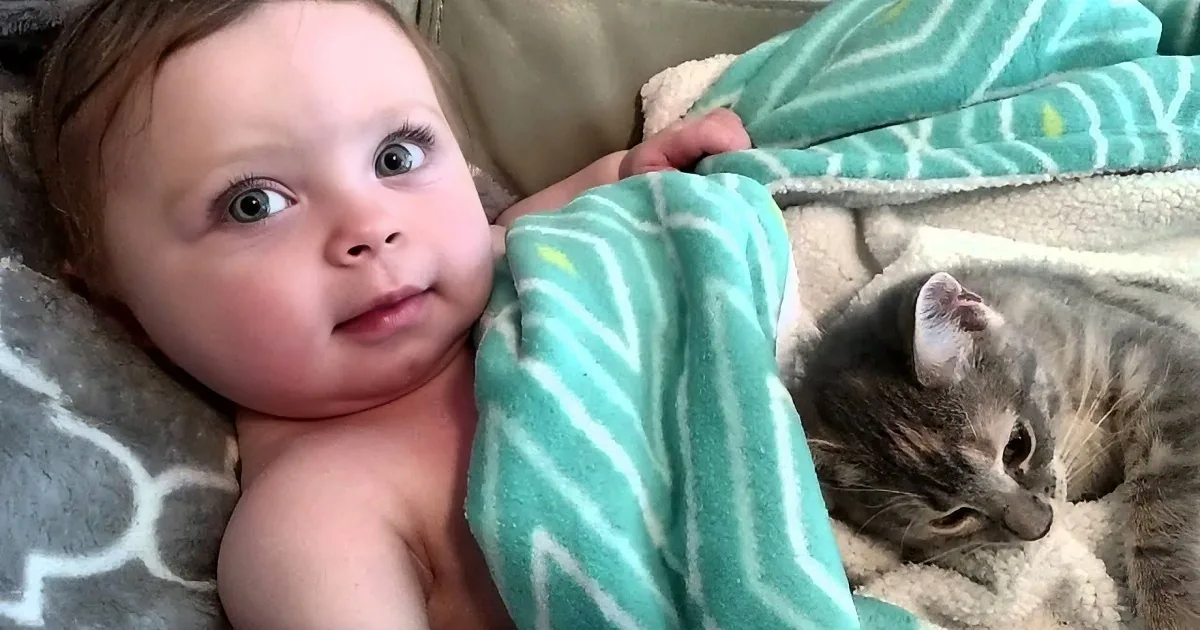 A baby wrapped in a teal blanket with a kitten resting nearby on a beige surface.