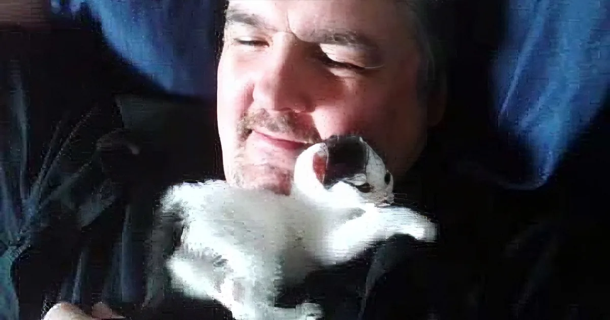 A man holds a small, fluffy kitten close, both smiling, in a cozy setting.