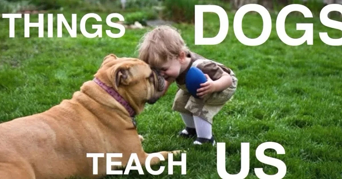 A child and a dog share a playful moment on grass, with text overlay.